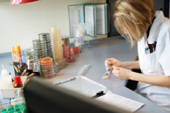 Bioverfahrenstechnik Agrar- und Lebensmittelwirtschaft, Bachelor of Science