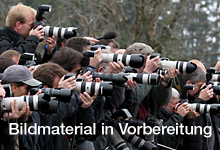 Literaturwissenschaft, Bachelor of Arts