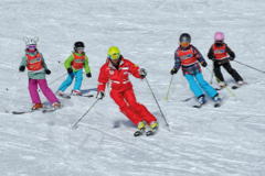 Skilehrer/in